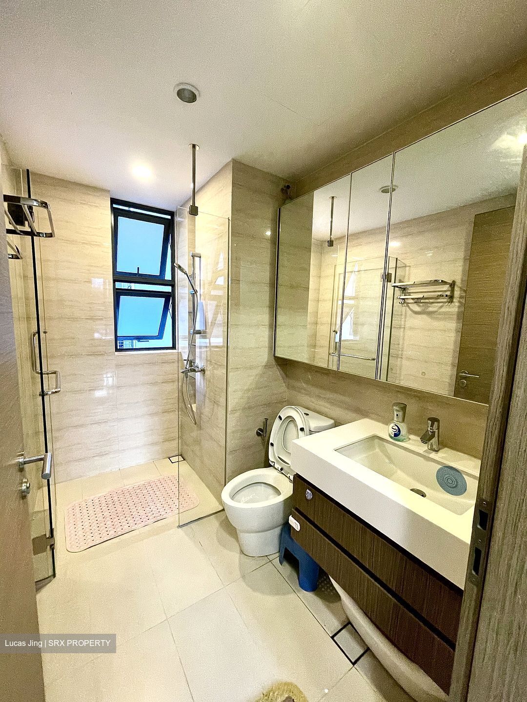 The Palette (D18), Condominium #432175151